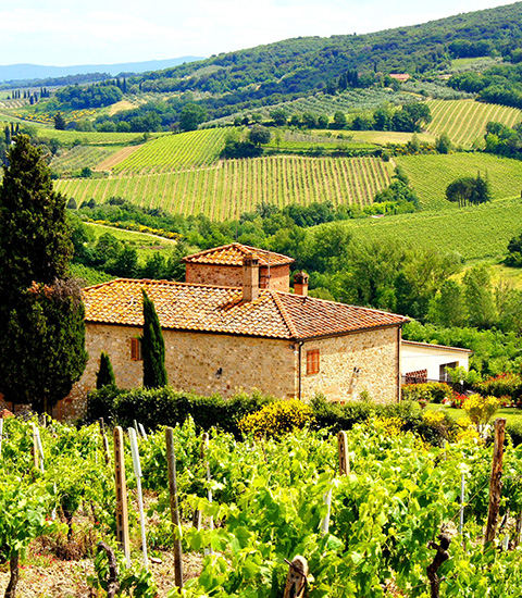 Boerderijen te koop in Umbrië